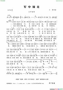 三、军中绿花的歌词解析