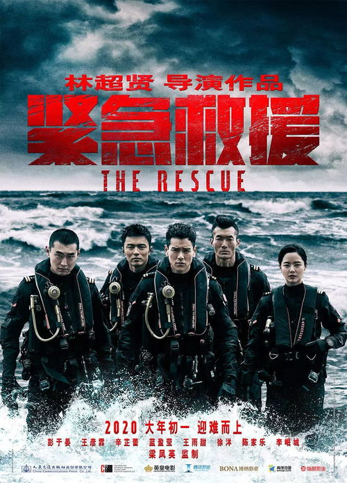 四、影片类型与主题