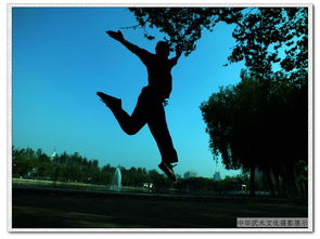 三、武术动作与视觉效果