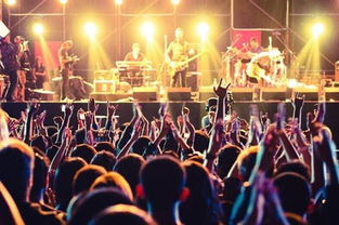 四、音乐与配音的艺术魅力