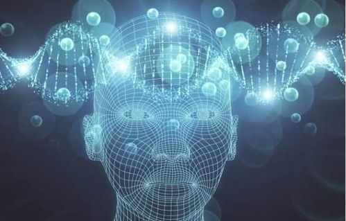 二、Python人狗识别技术的学习资源