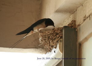 三、我有一剑在现实生活中的意义