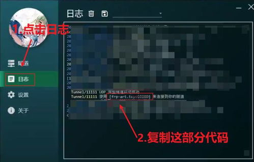 四、安装与启动游戏