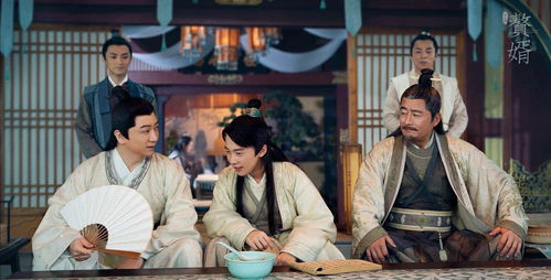 二、赘婿在历史中的角色与地位