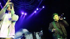 二、如何选择合适的午夜DJ