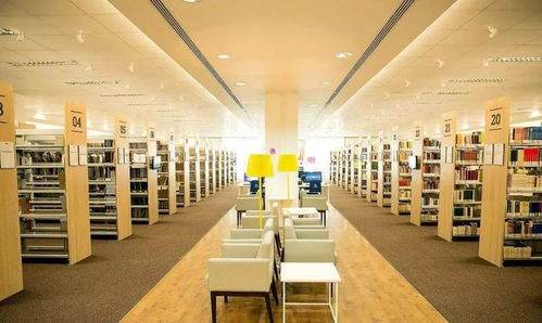 三、公共图书馆免费观影服务