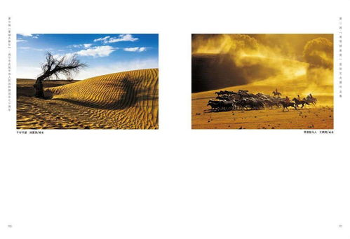 三、其他独立作品