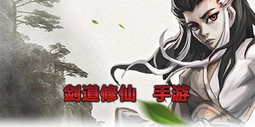 二、剑道修炼的艰辛与坚持