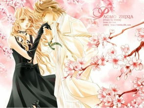 一、小说简介与背景