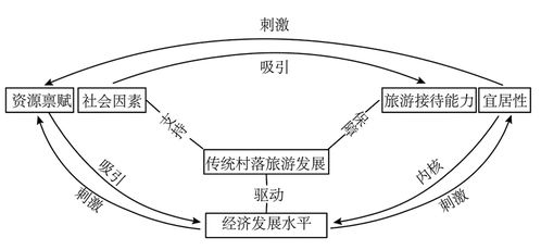 四、文化差异与市场定位