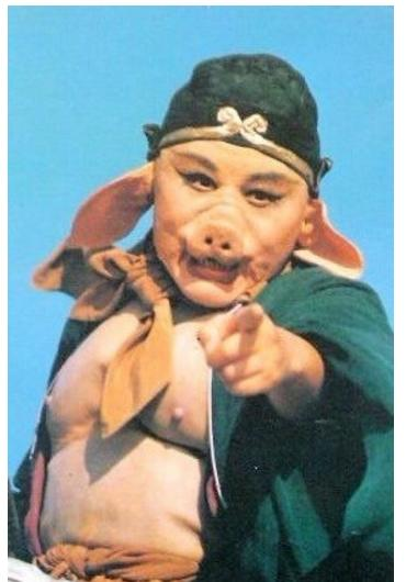 二、免费观看八戒八戒电影的途径