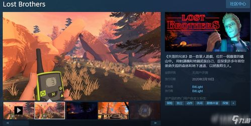 四、游戏特色与玩法介绍