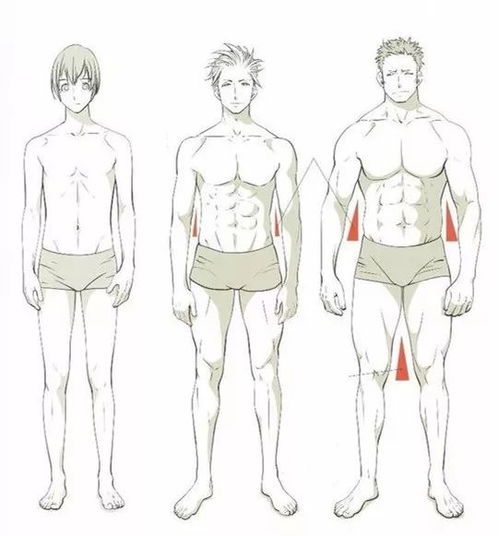 四、角色图片的制作要点