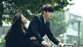 一、青春的明媚与忧伤