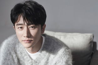 一、最新电视剧概览