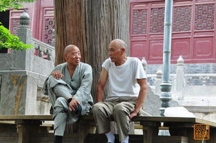 一、少林功夫的起源与发展历程