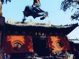 二、少林功夫的主要特点与技术精髓