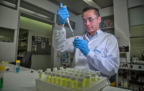 二、法医科学在犯罪现场调查中的应用