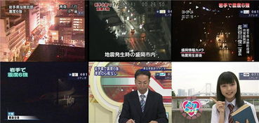 二、电视台重播时段关注