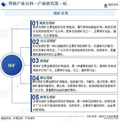 四、俄罗斯国内社会动态分析