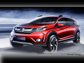 二、最新游戏动态与更新公告