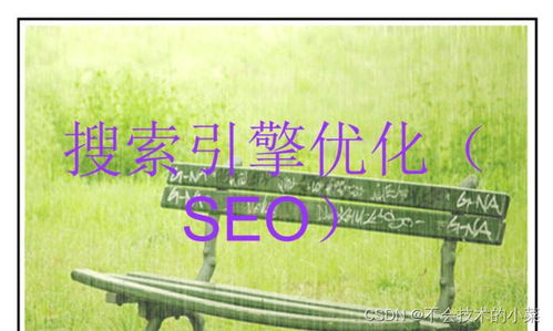 三、内容质量与关键词的自然融合