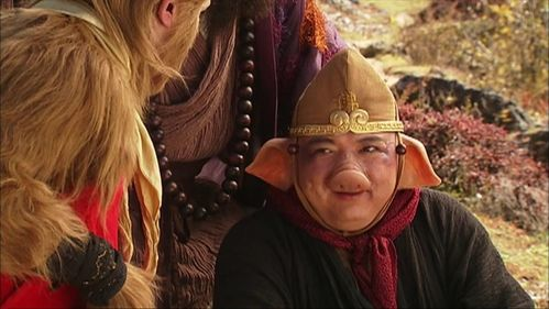 二、《八戒八戒》剧情介绍与角色解析