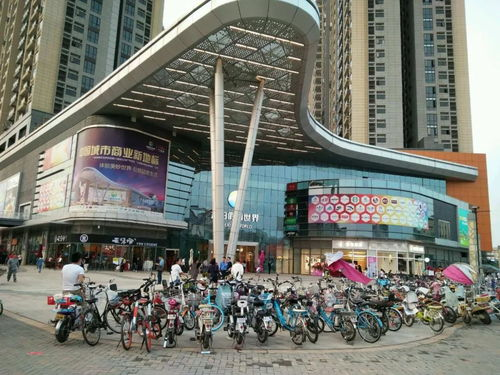 二、如何观看中央5套在线直播