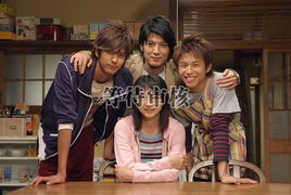 三、剧集简介与剧情解析