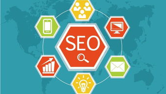 二、优化网络环境确保流畅播放