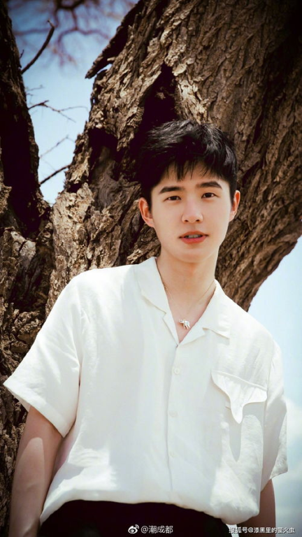 四、李易峰未来发展展望