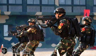 四、特种兵电视剧中的团队合作精神