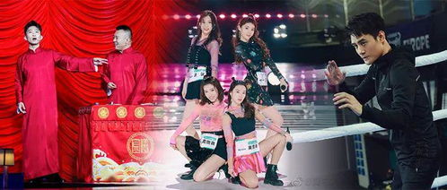 一、节目亮点与独特魅力