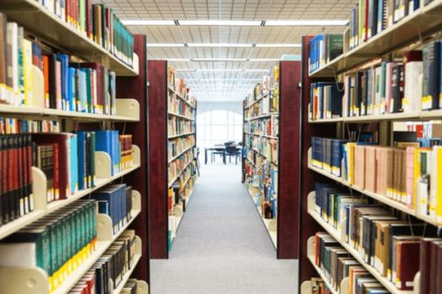 三、如何利用图书馆资源