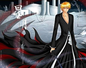 四、死神动漫在线观看的注意事项