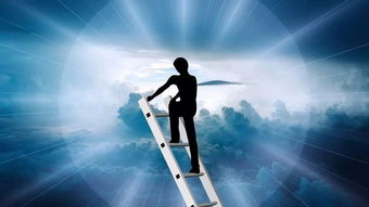 四、情感与寓意