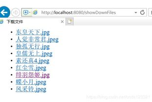 三、关注下载文件的格式和大小
