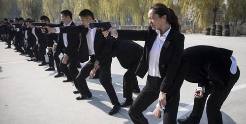 一、贴身女保镖的职业角色与重要性