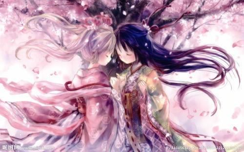 一、樱花动漫网的特色与服务