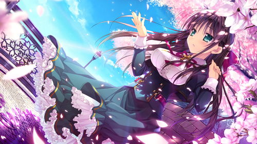 三、樱花动漫网的观看体验