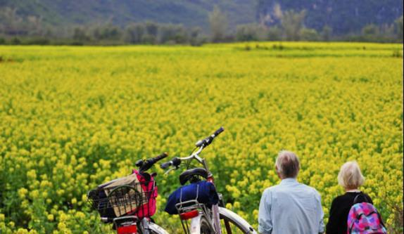 一、乡村旅游的发展现状与机遇