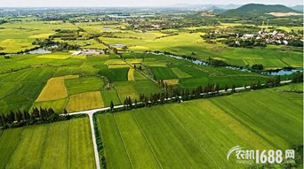 二、挖掘乡村特色资源