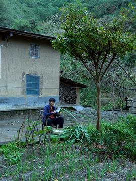二、乡村生活的真实写照