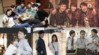 四、如何选择合适的电视剧