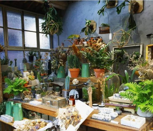 二、花房姑娘在现代生活中的体现