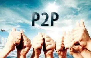 四、社会价值与思考