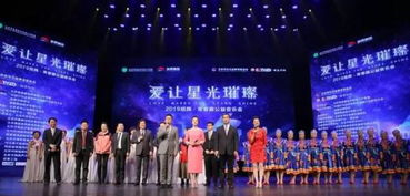 四、评委评价与观众喜爱