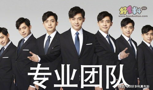 四、爱情呼叫转移中的情感调整