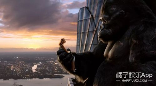 二、金刚角色的深度剖析