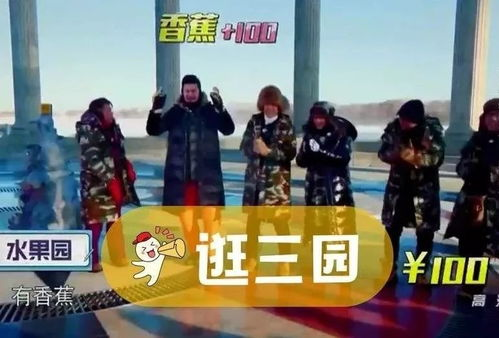 三、探险队伍的挑战与成长